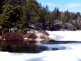 Edge of Gander Lake