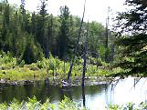 Lake at Panel Mine