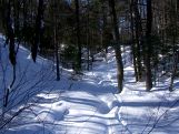 Pipeline Road