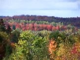 Fall Colours 2