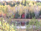 Serpent River at Panel Mine Rd