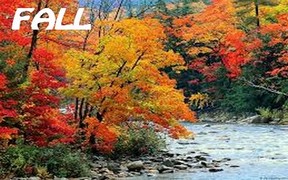 Fall in Elliot Lake