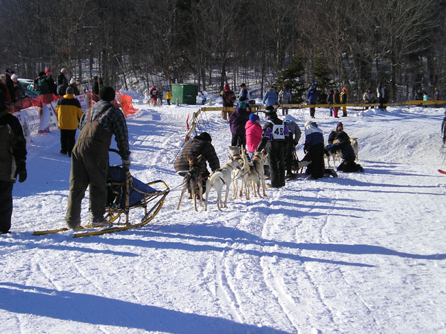 Bell Ididarace sled dog race at Spine Beach