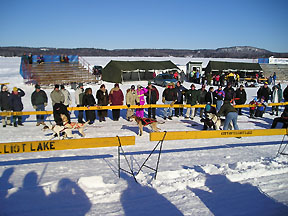 sled dog race picture 4
