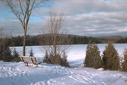 Another Horne Lake winter view