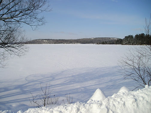 Beautiful winter day