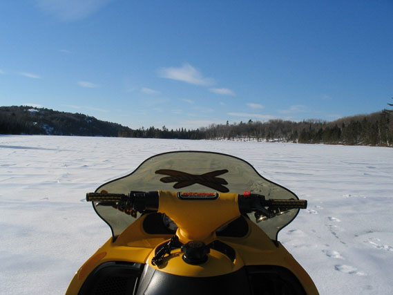 Sled's Eye View submitted by Connie Free