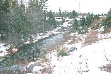 Creek near Dunlop Lake