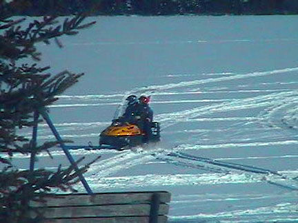 Great shot by Tom Woodward