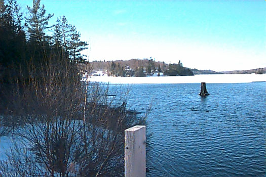 Snow starting to melt!