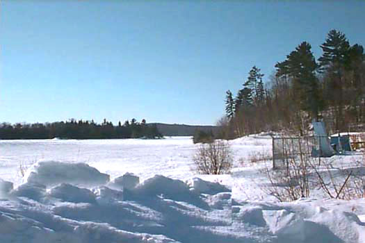 Hopefully the last of winter!