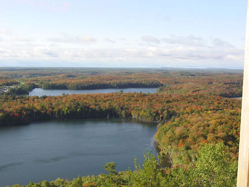 Great picture from Fire Tower Lookout