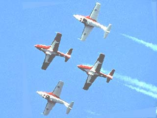 Snowbirds