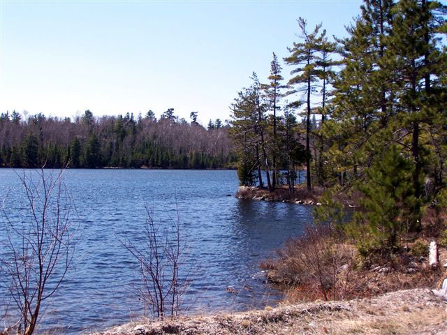 Shore line of Cinder Lake taken and submitted by Rick Gordon