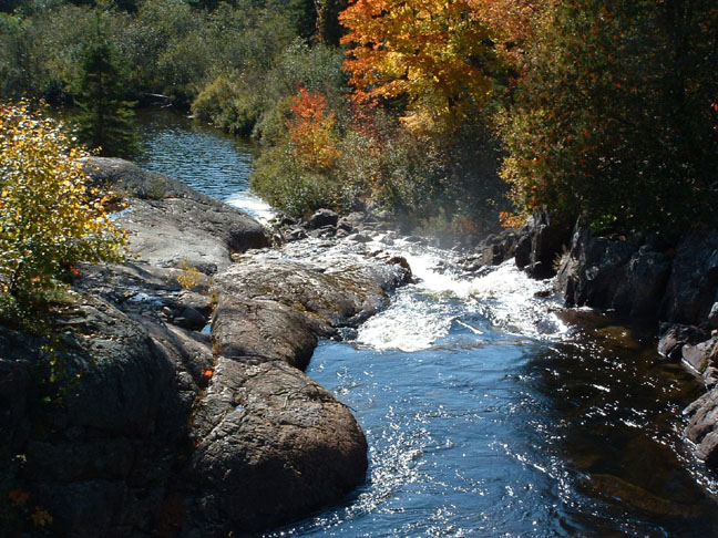 Colourful photo of the area along the Hydro Line submitted by Brenda Lacasse