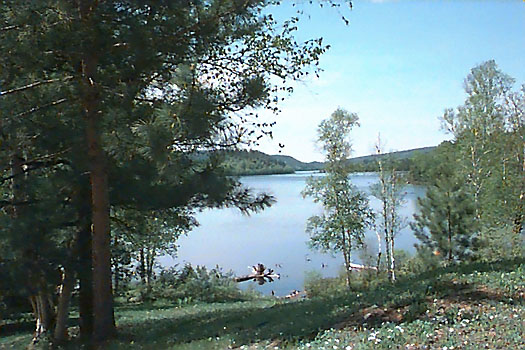 McElrea Lake on beautiful June day