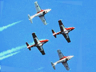 Snowbirds
