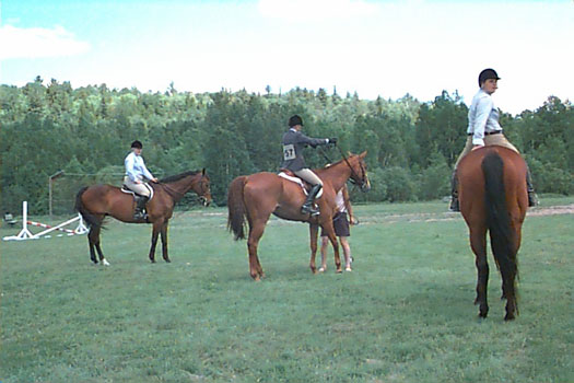 Trillium Horse Show