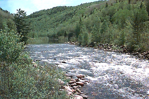 Little White River on the Deer Trail