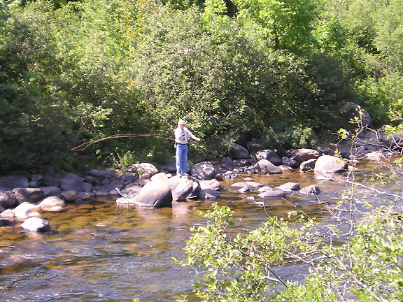 Fly Fishing on Little White River