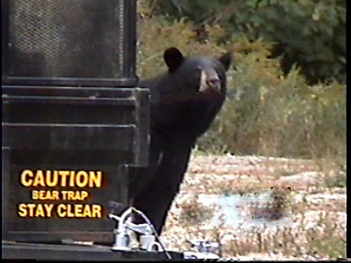 Submitted by Bob Longworth