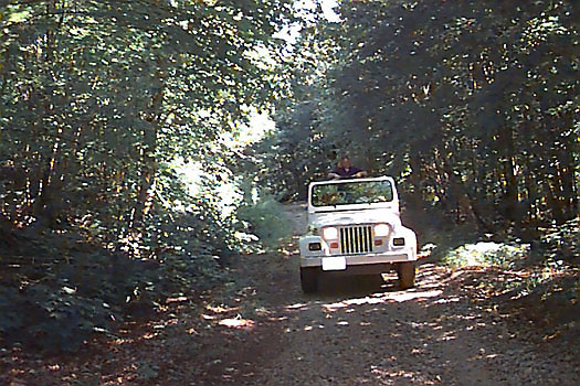 Enjoying the trails!