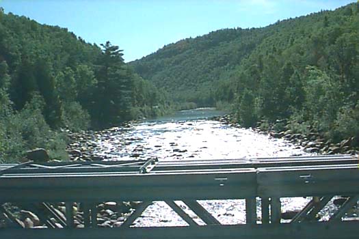 Wood Bridge on the Deer Trail