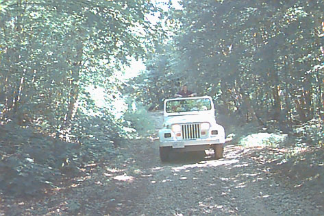 Enjoying the trails in Fall