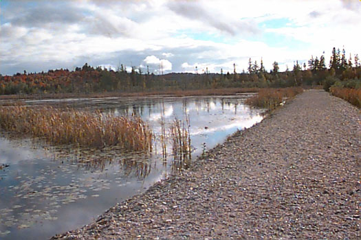 Sheriff Creek Nature Sanctuary in the Fall