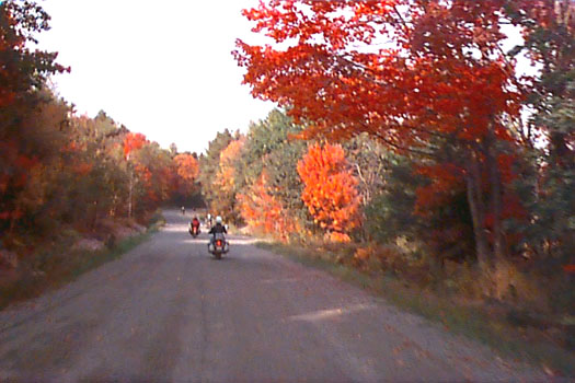 Colourful Deer Trail - Studio Tour weekend