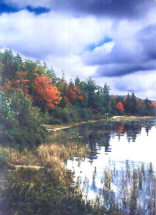 Deer Trail Studio Tour 1999 - photos by Cindy Woods