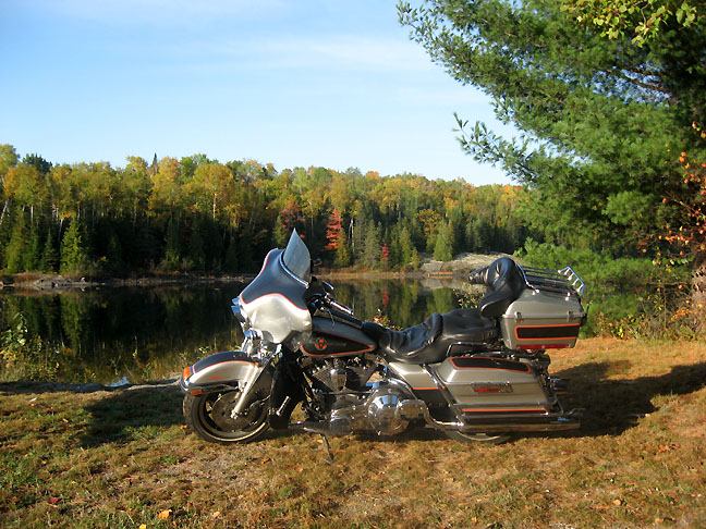 Beautiful setting for a beautiful Harley, submitted by Thom Arnold