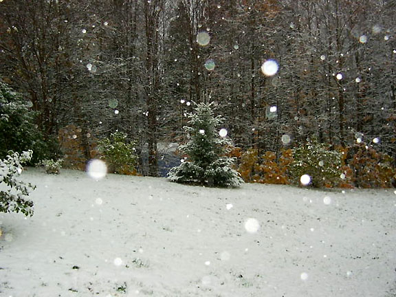 Great shot of our surprise first snowfall on Oct 12th, submitted by Karen Querat