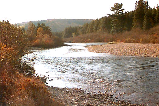 North of Elliot Lake