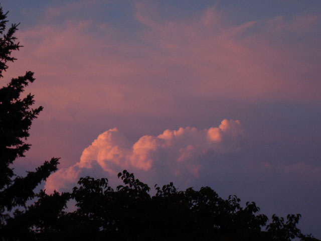 Some very pink evening clouds. Photo by Gale McNichol