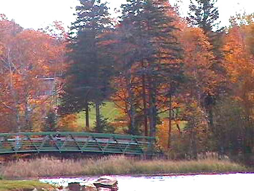 Submitted by Tom Woodward