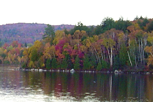 Fall shot submitted by Ilean and Grant Brown