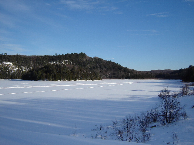 December 9, 2007 - photo by Gale McNichol