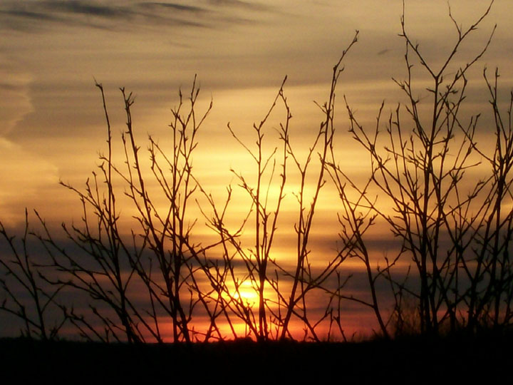 Beautiful sunrise on Frobel Drive, taken by Cheryl Menard