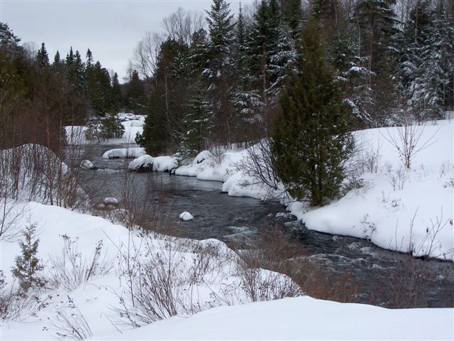 Winter shot of stream near Dunlop Lake