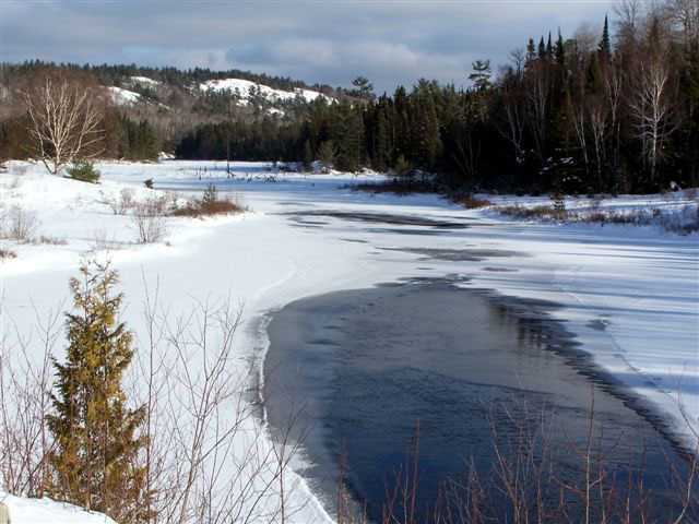 Signs of spring on its way?