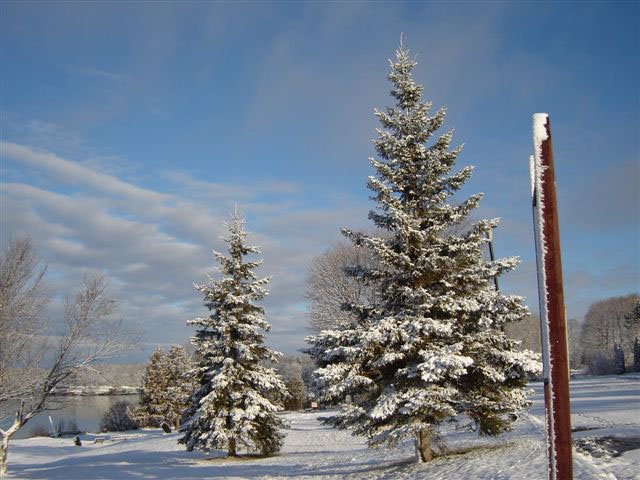 Beautiful winter photo by Gale McNichol.