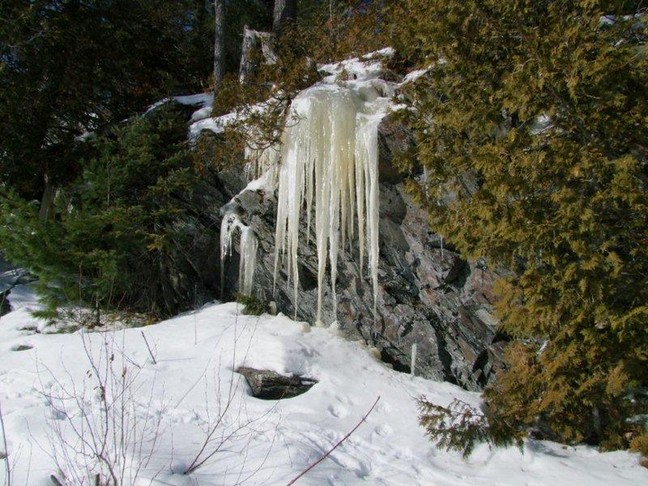 Icicles on shore of Elliot Lake, Photo by Scott Prevost