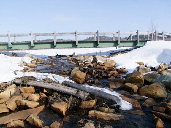 Photo taken at Sheriff Creek Wildlife Sanctuary, photo by Scott Prevost.