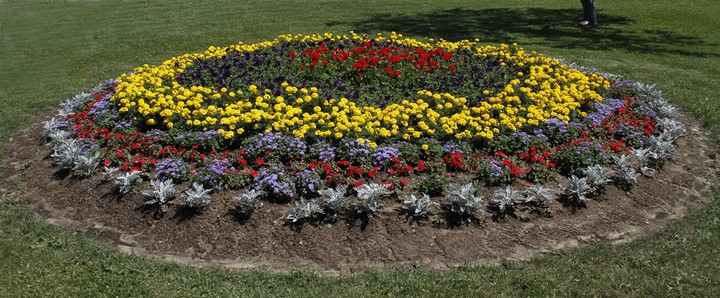 City Flowers. Photo by Kal Biro