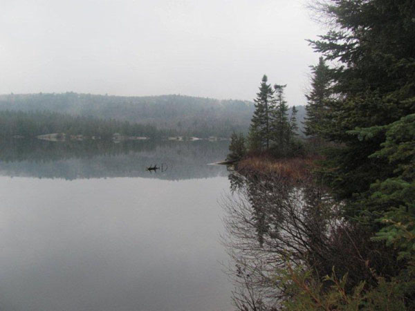 Misty morning on Canyon Lake. Photo by Scott Prevost.