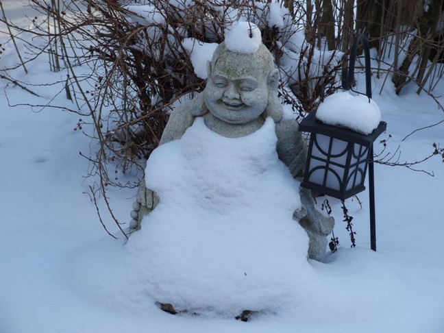 Interesting winter photo.  Photo by Eleanor Orchard