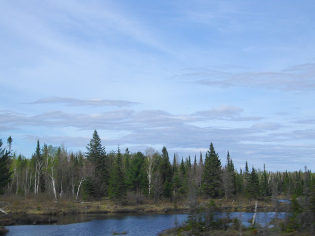 Beautiful Spring photo by Janet Coles