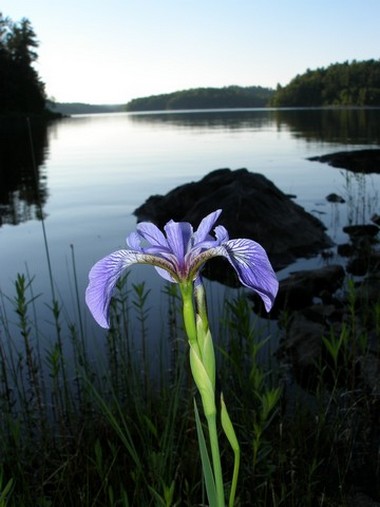 Beautiful shot of McCarthy Lake, photo by Eino Myllymak