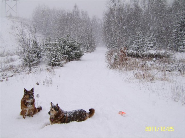 Christmas snow on Dunlop Lake, photo by John Sewell